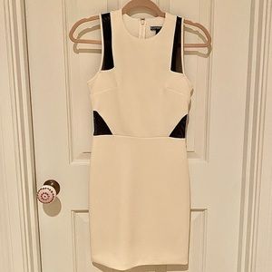 Express White Dress with Black Mesh Cutouts